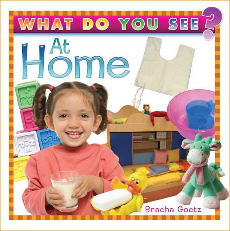 What Do You See at Home